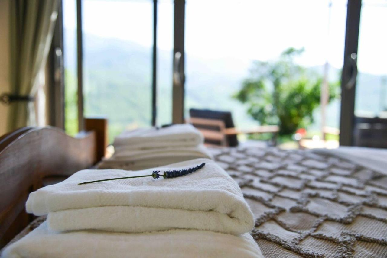 Villa Mountain Hikers Luxury Retreat In Roquefixade Esterno foto